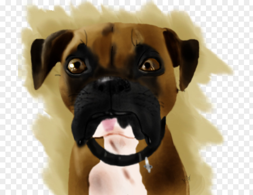 Puppy Puggle Boxer Dog Breed PNG