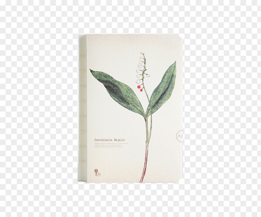 This Herb Lily Of The Valley Paper Notebook Doorbell Rang Diary PNG
