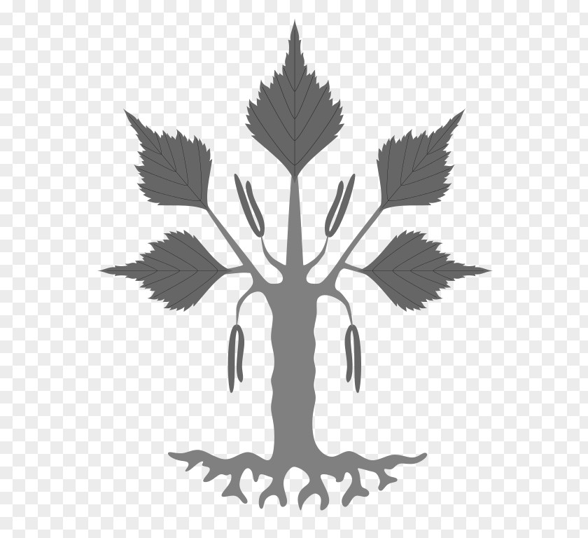 Tree Coat Of Arms Heraldry Silver Birch Rowan PNG
