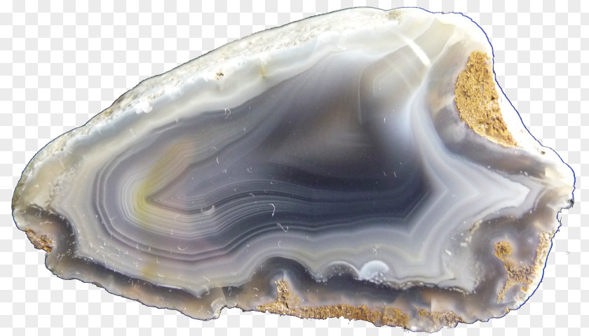 Agate Stone Clam Mineral Jaw PNG