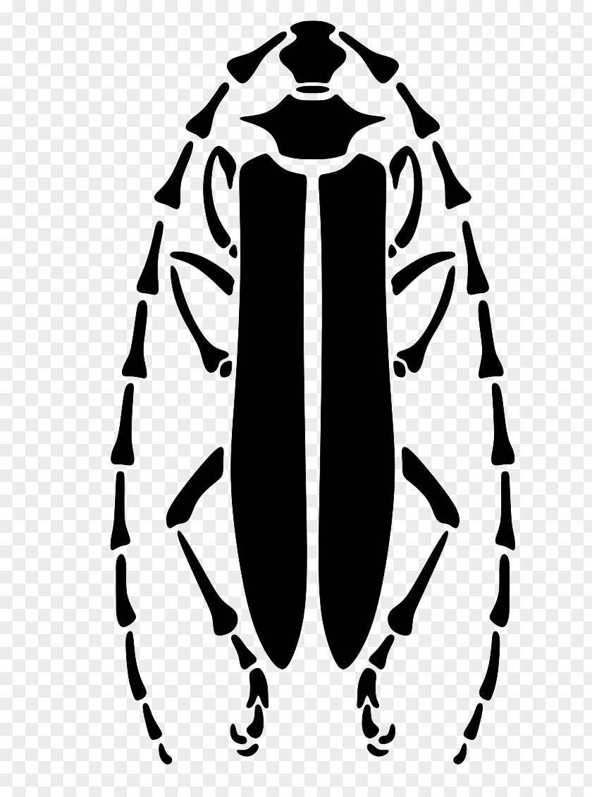 Longhorn Beetle Stencil Clip Art PNG