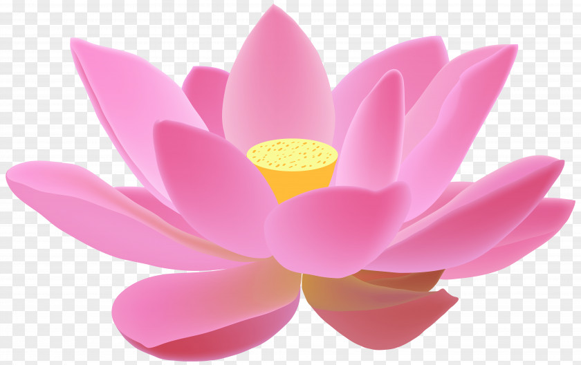 Realistic Spring Flowers Background Diya Diwali Candle Clip Art PNG