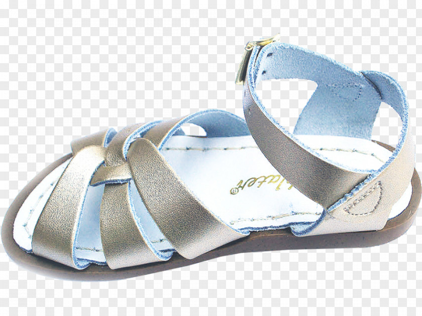 Sandal Shoe PNG