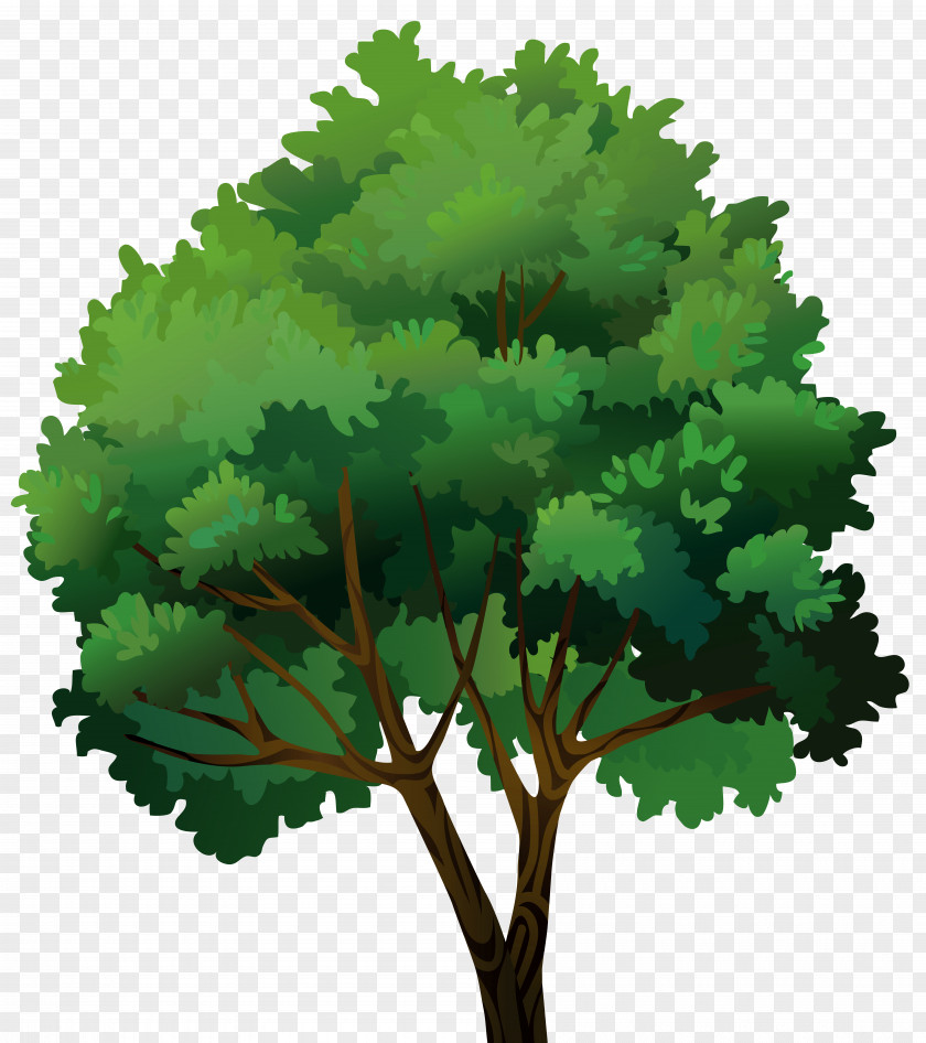 Tree Transparent Clip Art Image White Rendering Apple PNG