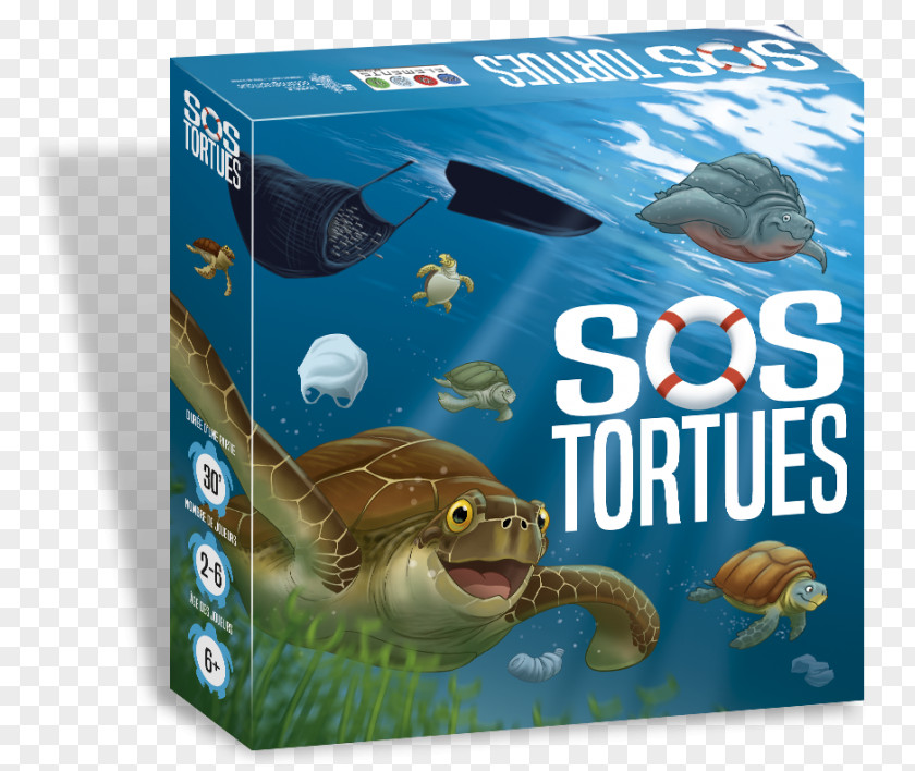 Turtle Sea Oceanographic Museum SOS Tortues Game PNG