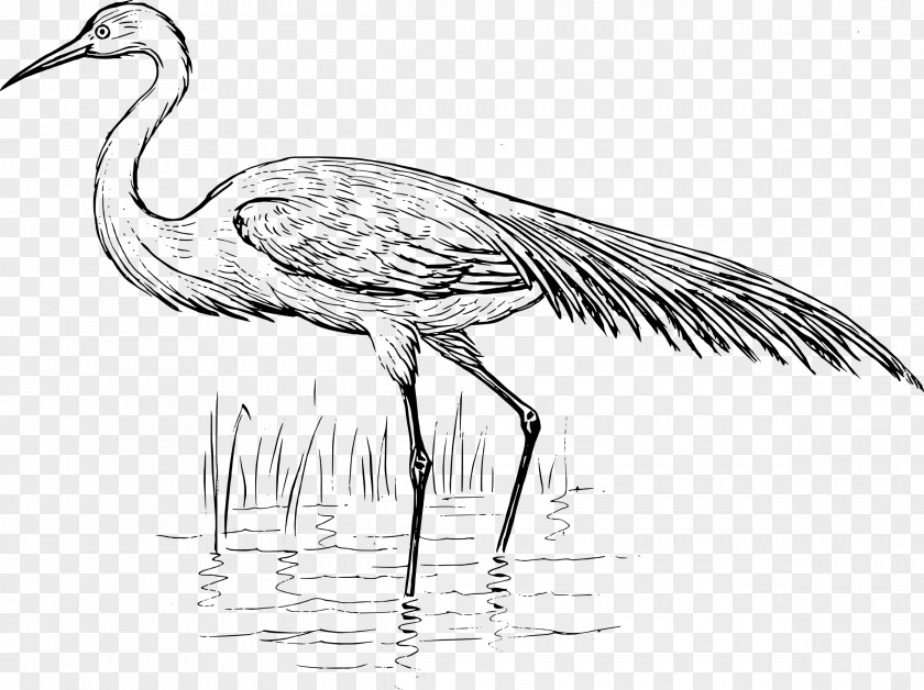 CRANE BIRD Heron Bird Crane Great Egret PNG
