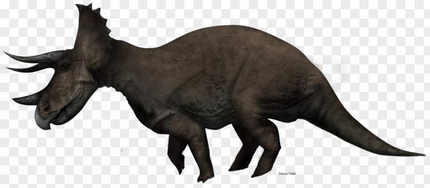 Dinosaur Medusaceratops Chasmosaurus Triceratops Centrosaurus PNG