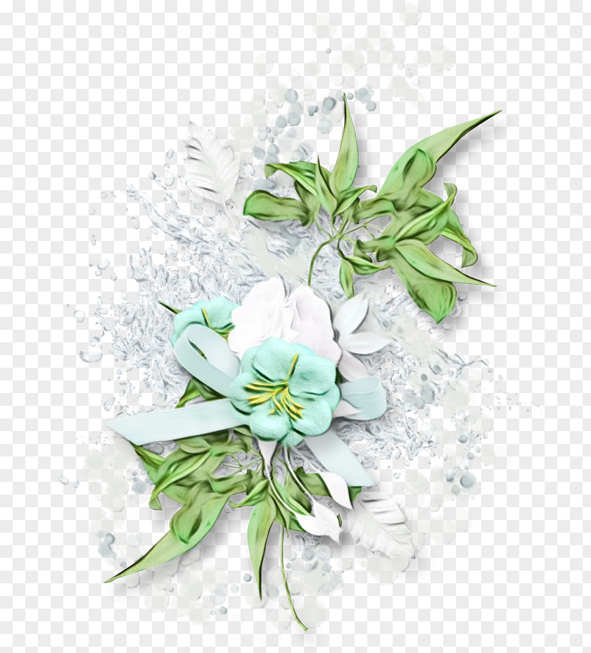 Edelweiss Cut Flowers Flower Plant Flowering Petal Bouquet PNG