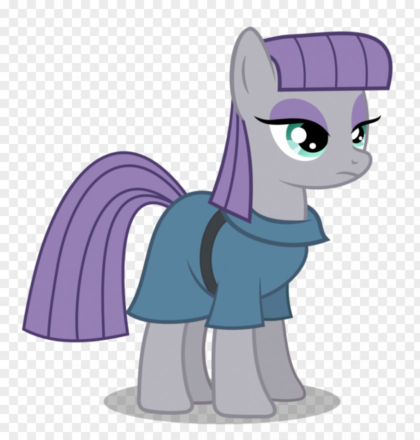 Gift Of Maud Pie Pinkie Rainbow Dash Rarity Derpy Hooves Pony PNG