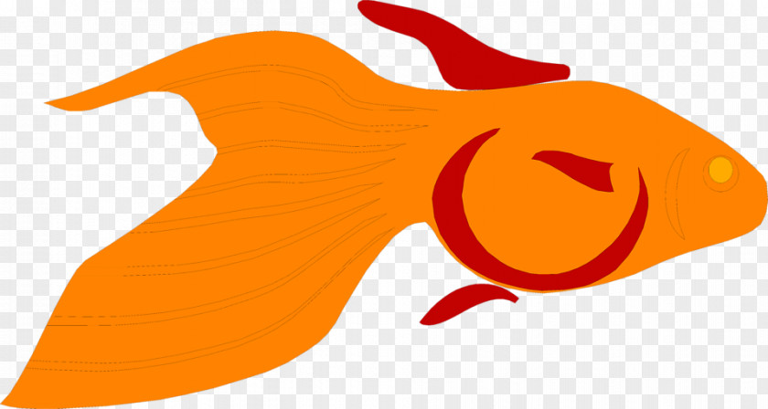 Goldfish Images Carassius Auratus Free Content Clip Art PNG