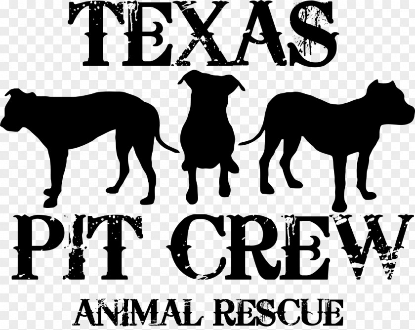 Texas Dog Wichita Falls Pet Cat Veterinarian PNG