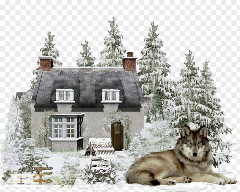 Winter Season Canidae Dog PNG