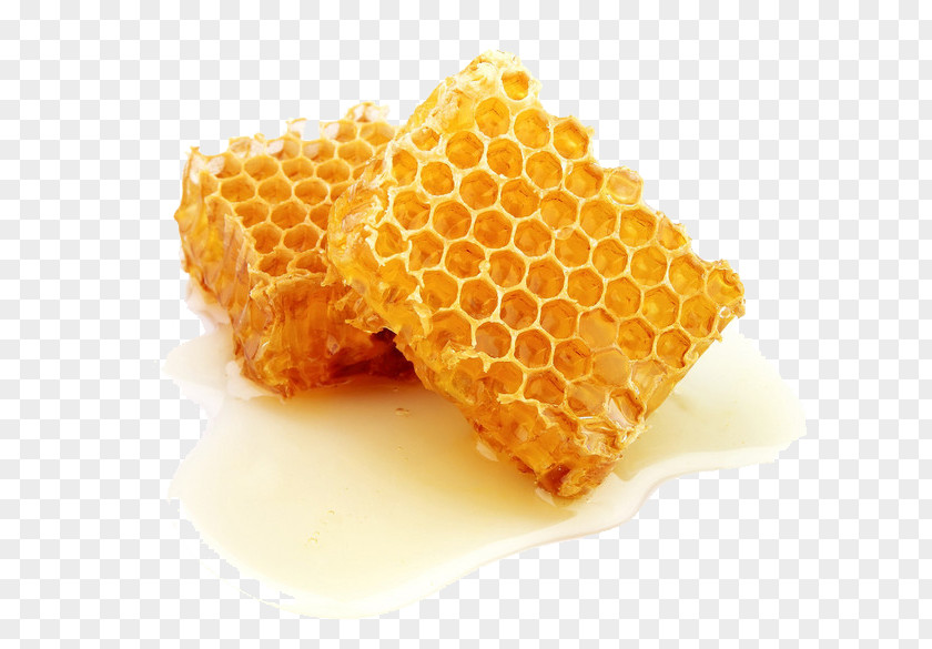 Honey Bee Honeycomb Comb PNG