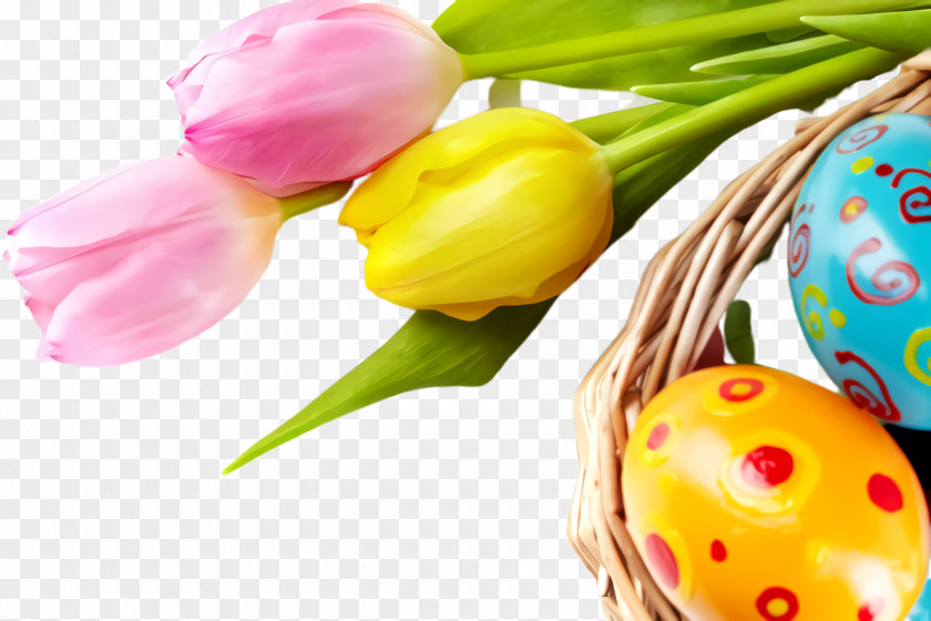 Lily Family Food Easter Egg PNG