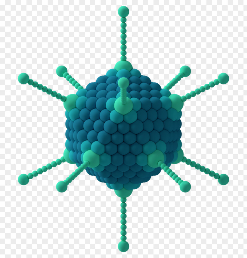 Nano Technology Capsid Icosahedron Adenoviruses Capsomere PNG