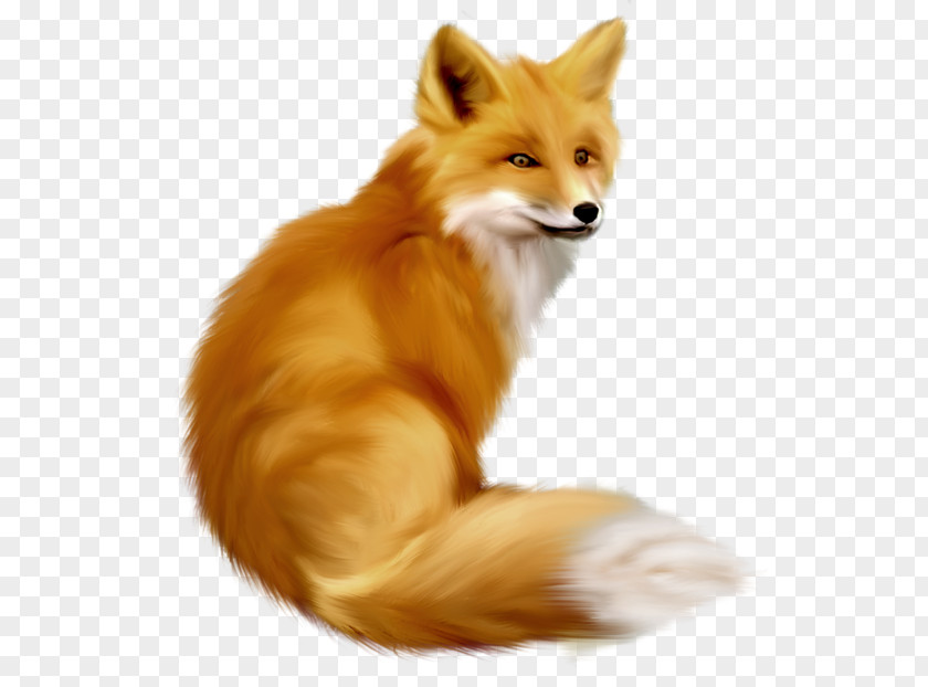 Painted Fox Clipart Clip Art PNG