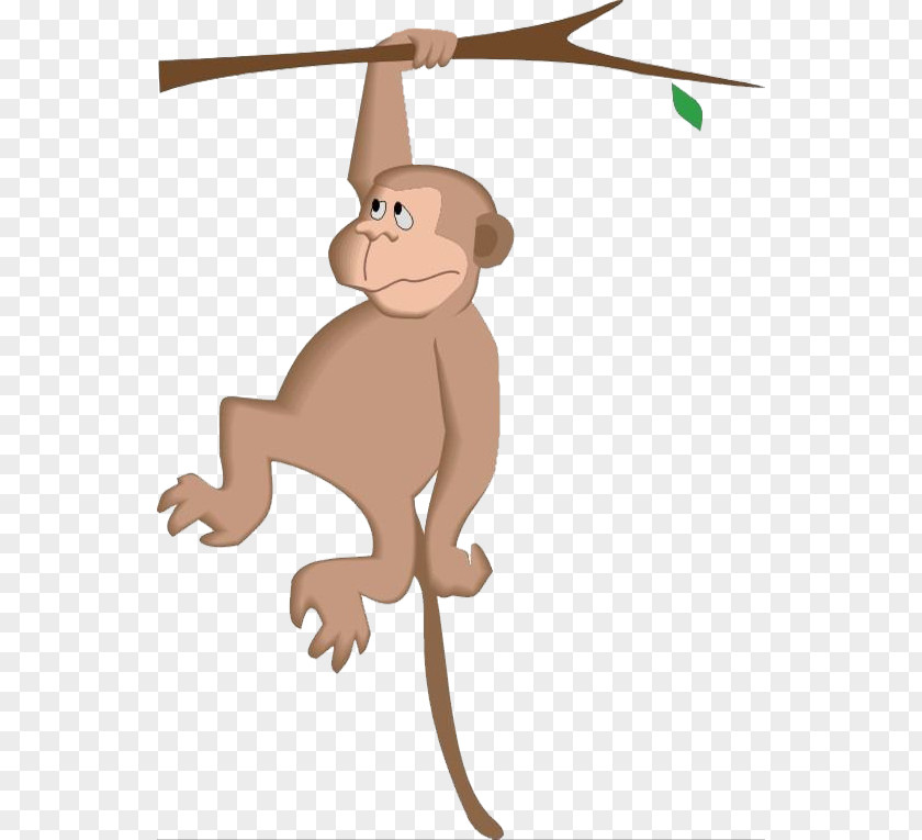 The Monkey Reached For Branch Cartoon Tree Clip Art PNG