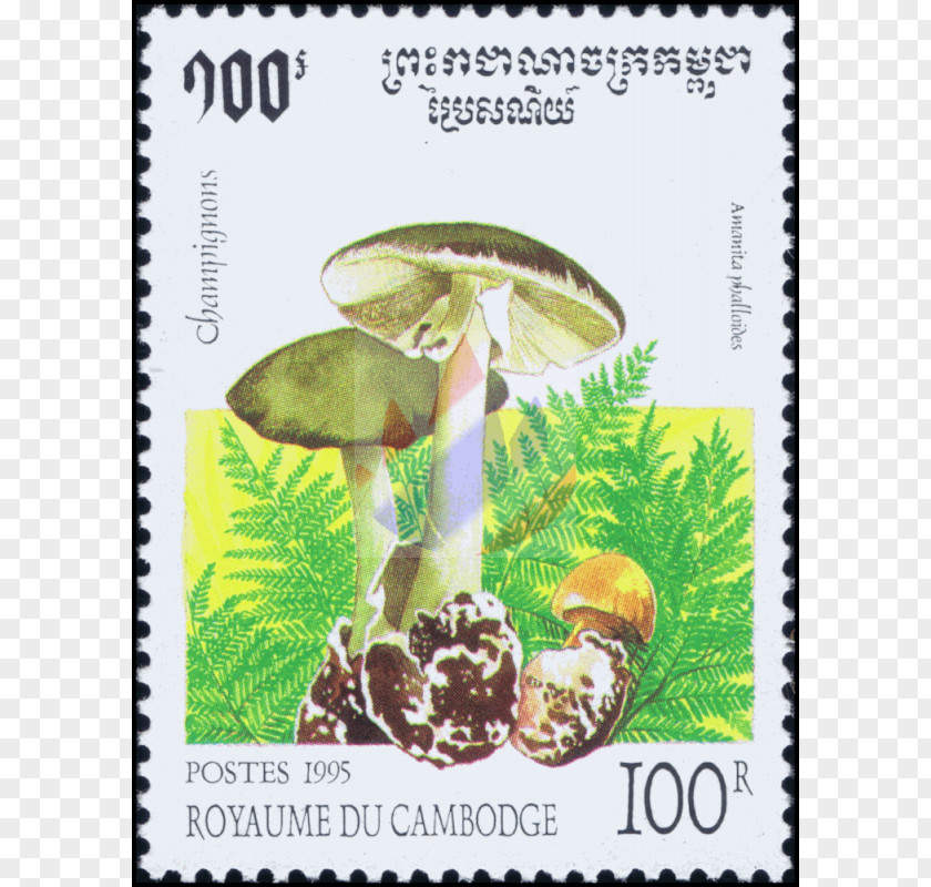 Cantharellus Cibarius Flora Fauna Postage Stamps Plants Mushroom PNG