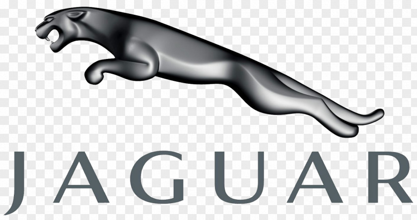 Car Jaguar Cars Land Rover Tata Motors PNG