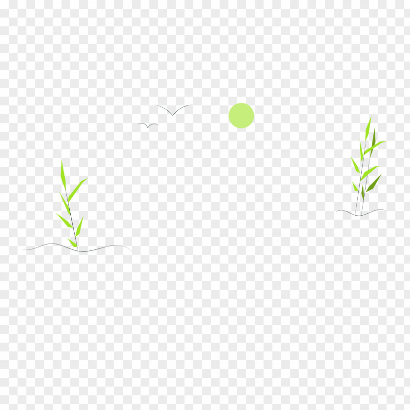 Leaf Plant Stem Grasses Logo Tree PNG