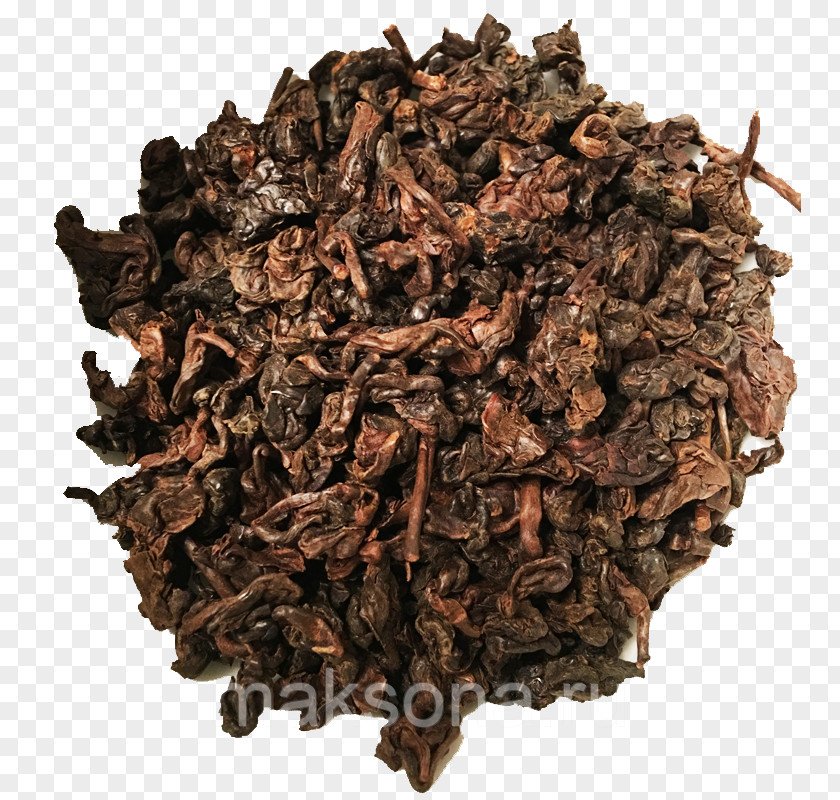 Tea Nilgiri Kombucha Pu'er Romeritos PNG