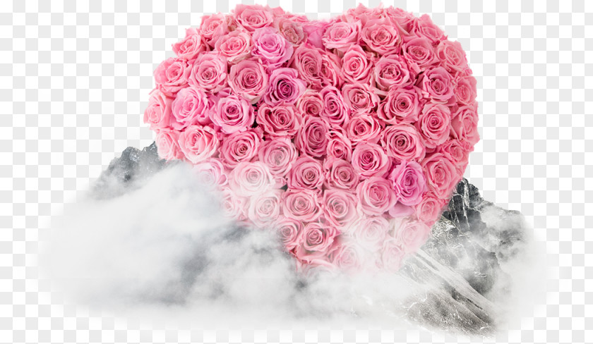 Valentines Day Garden Roses Valentine's Pink Idea PNG