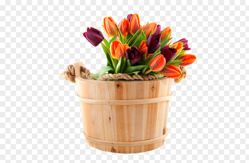 Cask Color Tulips Flower Bouquet Floristry Tulip International Womens Day PNG