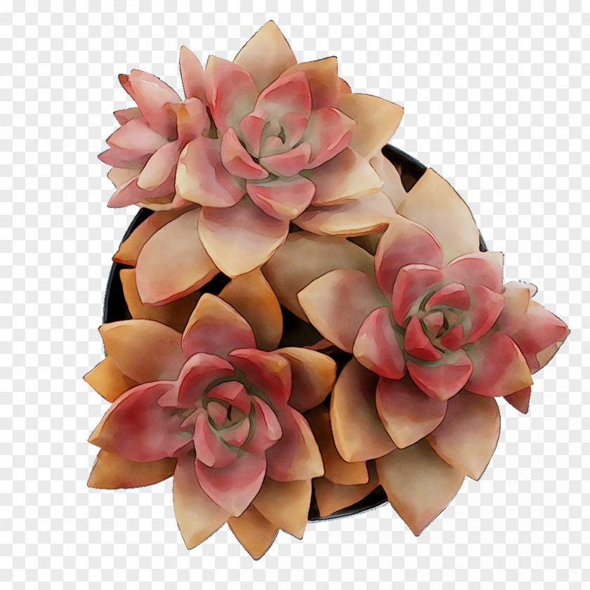 Cut Flowers Flower Bouquet Petal Pink M PNG