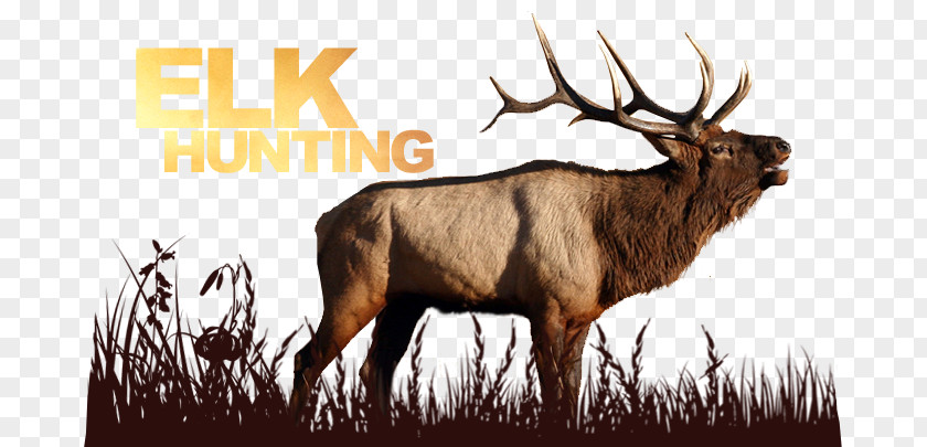 Elk Hunting Deer Wildlife PNG