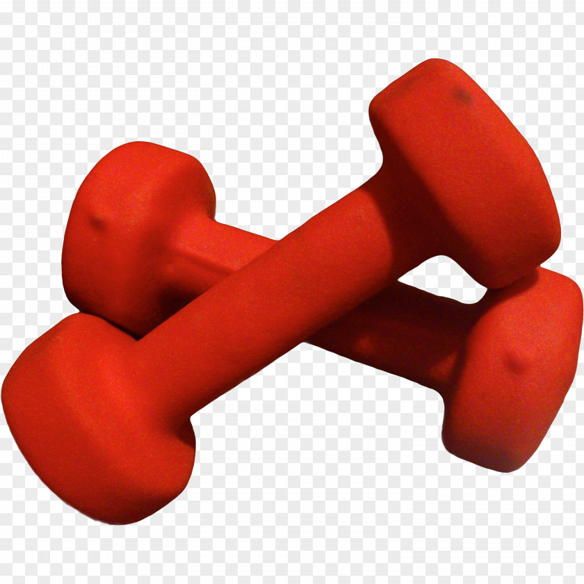 Exercise Equipment Weights Red Dumbbell Font PNG