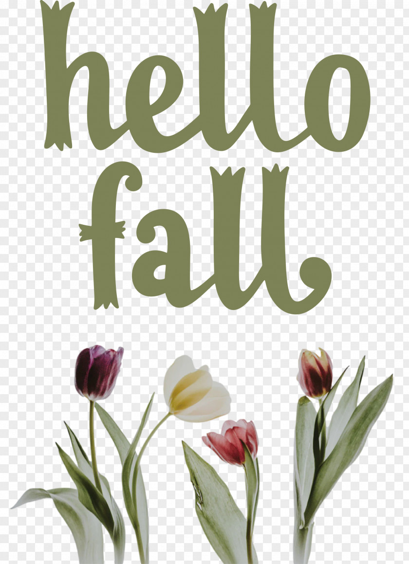 Hello Fall Fall Autumn PNG