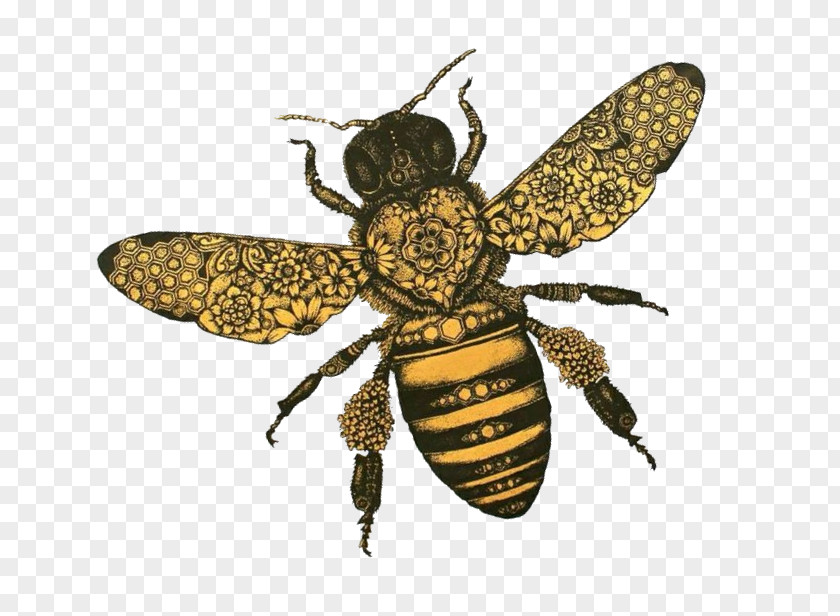 Honey Bee Western T-shirt Insect Hopeless Fountain Kingdom World Tour PNG
