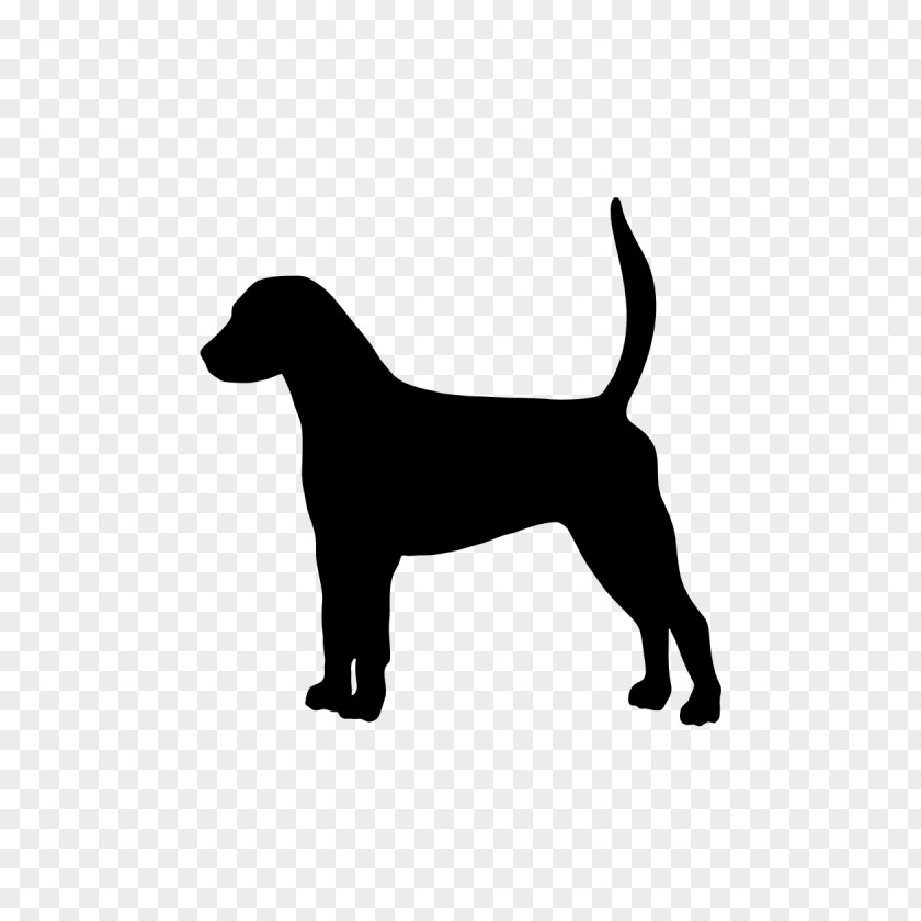 Puppy Labrador Retriever Dog Breed American Foxhound English PNG