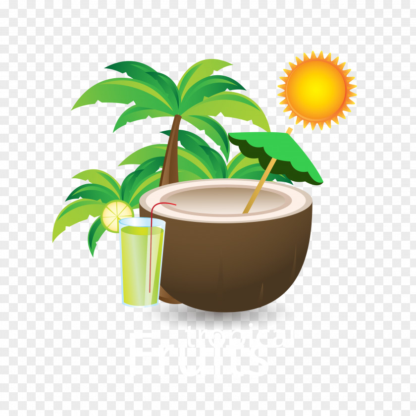 Summer Coconut Drink Material Download PNG