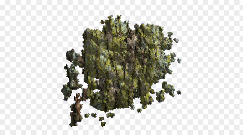 Terrain Map Tree Biome PNG