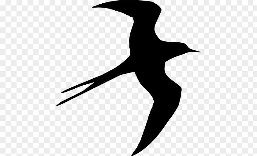 Bird Silhouette Swallow Drawing PNG