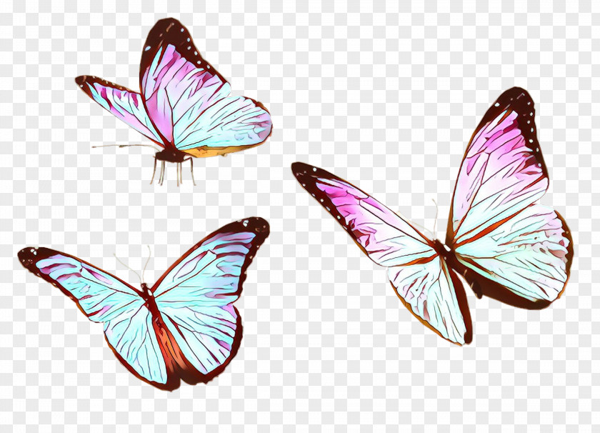Butterfly Insect Moths And Butterflies Wing Pollinator PNG