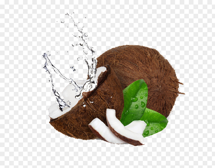 Coconut Water Milk Candy PNG