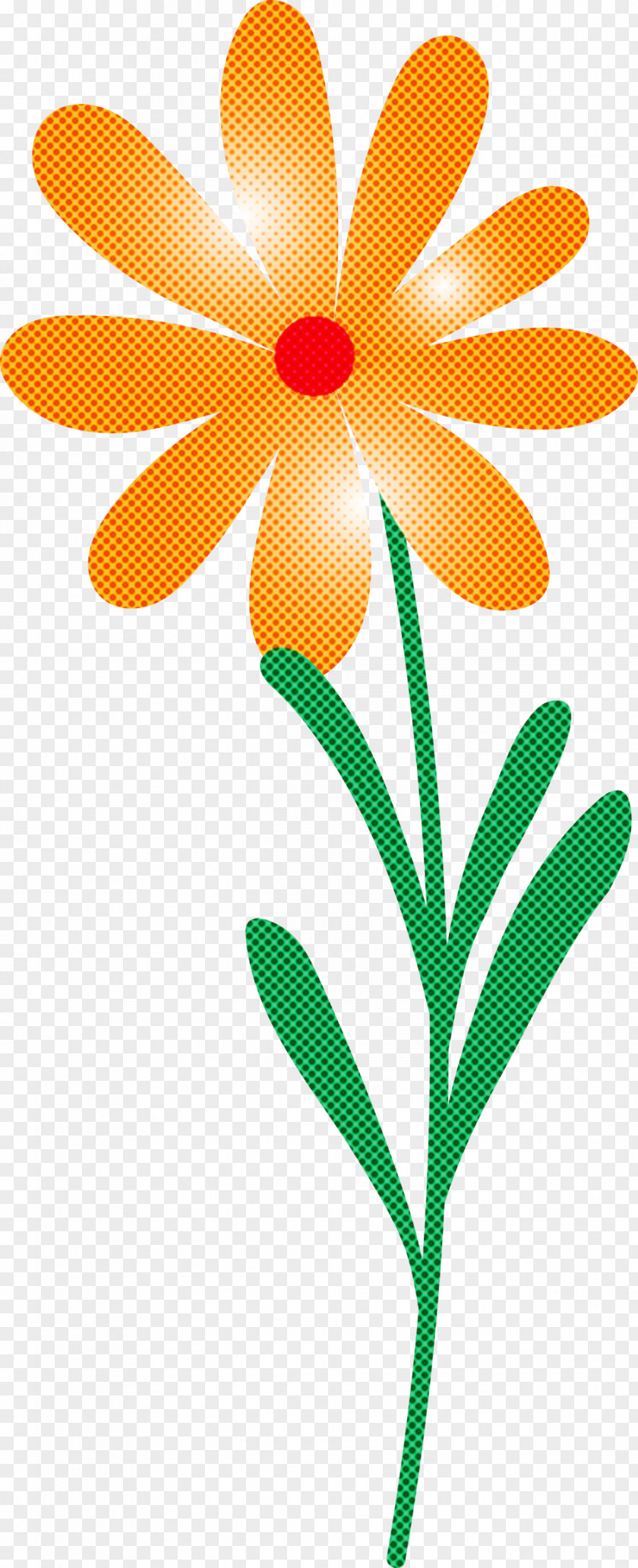 Floral Design PNG