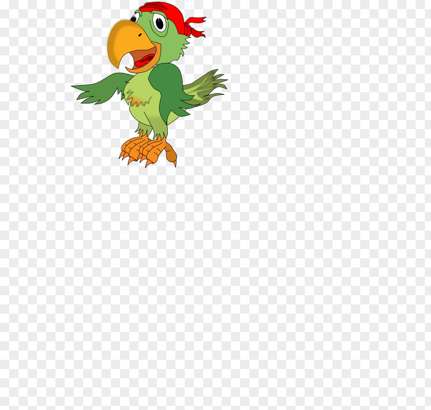 Pirate Parrot Piracy Bird Clip Art PNG
