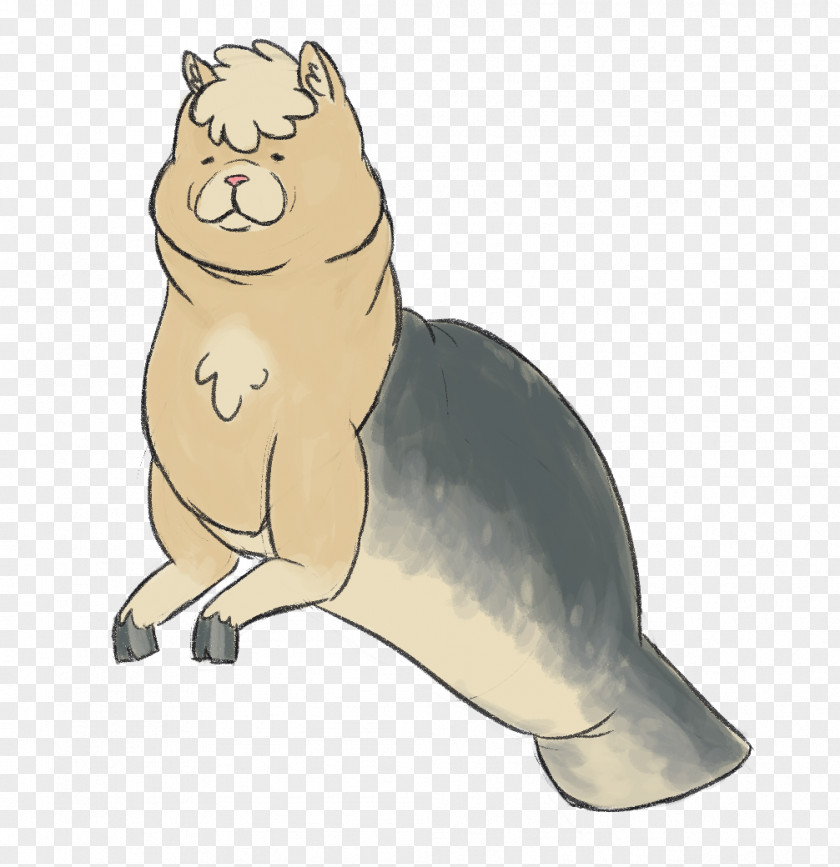 Salamander Sea Lion Cows Cat Alpaca Pinniped PNG