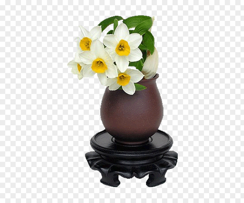 Vase Zhangzhou Narcissus Tazetta Icon PNG