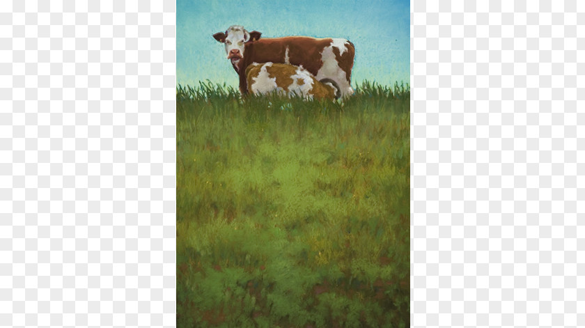 WATERCOLOR COWS Dairy Cattle Pastel Calf Painting PNG