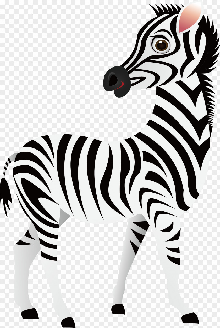 Zebra Vector Cartoon Clip Art PNG