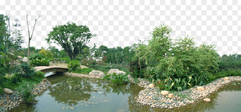 Landscape Design Small Lake Pond Garden Architecture PNG