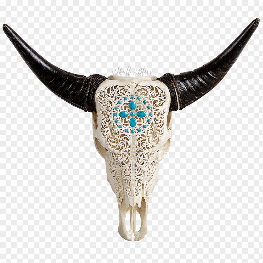 Skull Cattle XL Horns Animal PNG