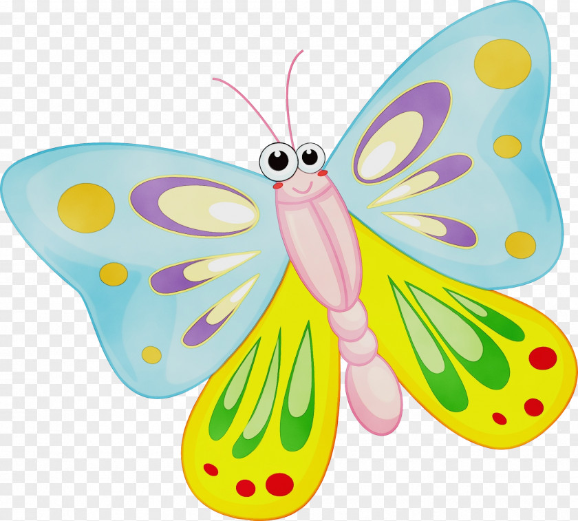 Animal Figure Invertebrate Watercolor Butterfly Background PNG