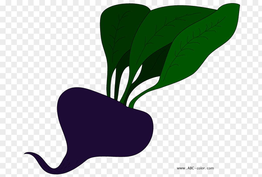 Leaf Plant Stem Clip Art PNG