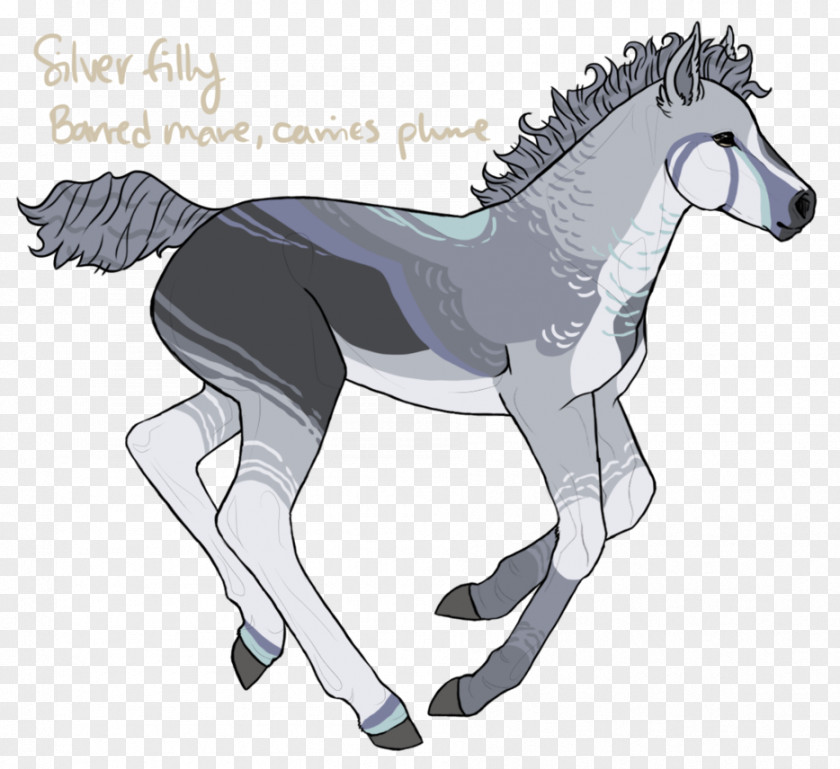 Mustang Mule Foal Stallion Colt Mane PNG
