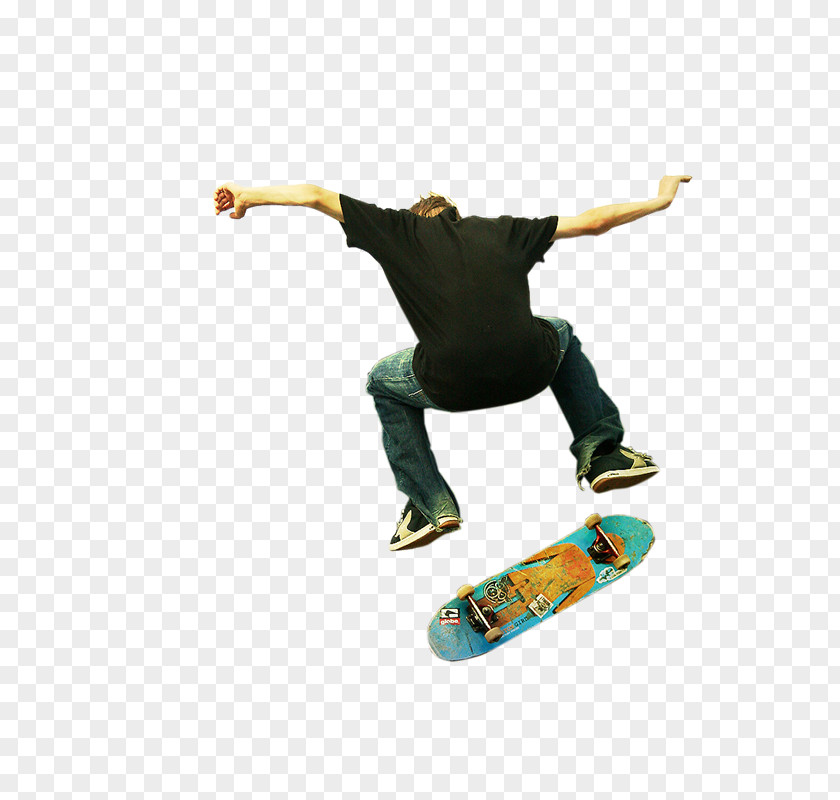 Qe Longboarding Skateboarding Freeboard PNG